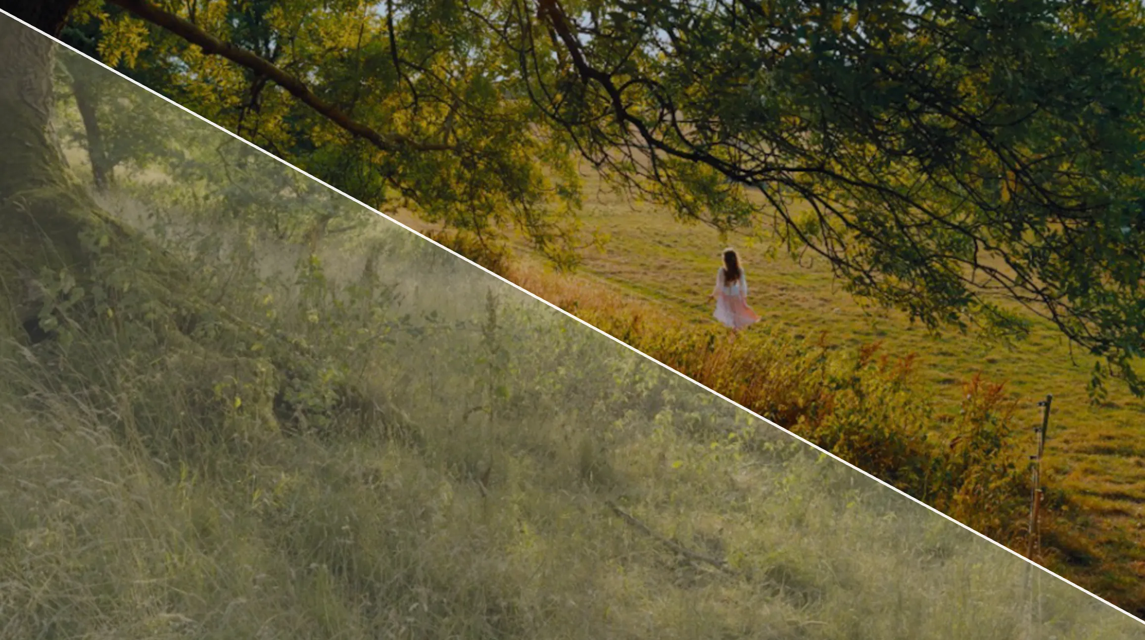 A woman walking through a sunlit meadow beneath a tree, one corner still in flat Apple Log and the rest graded